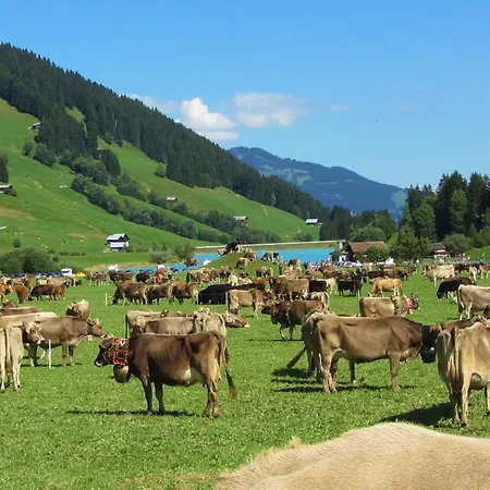 Hotel Kistenpass 3*