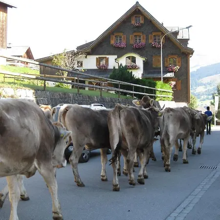 Kistenpass Hotel Breíl
