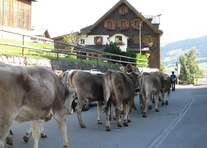 Kistenpass Hotel Breíl